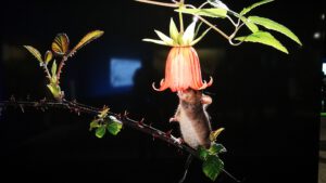 Oberh_IMG_20231021_110902