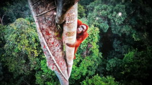 Oberh_IMG_20231021_113407